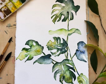 Watercolor Monstera, Monstera Art, Monstera Painting, Plant Art, Plant Artwork, Plant lover gift, Monstera Leaf Art, Watercolor Commission