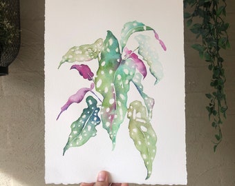 Original Watercolour Begonia Maculata Painting, Houseplant Art, Christmas Gift for Plant Lover, Polka Dot begonia Art, Indoor Plant Artwork