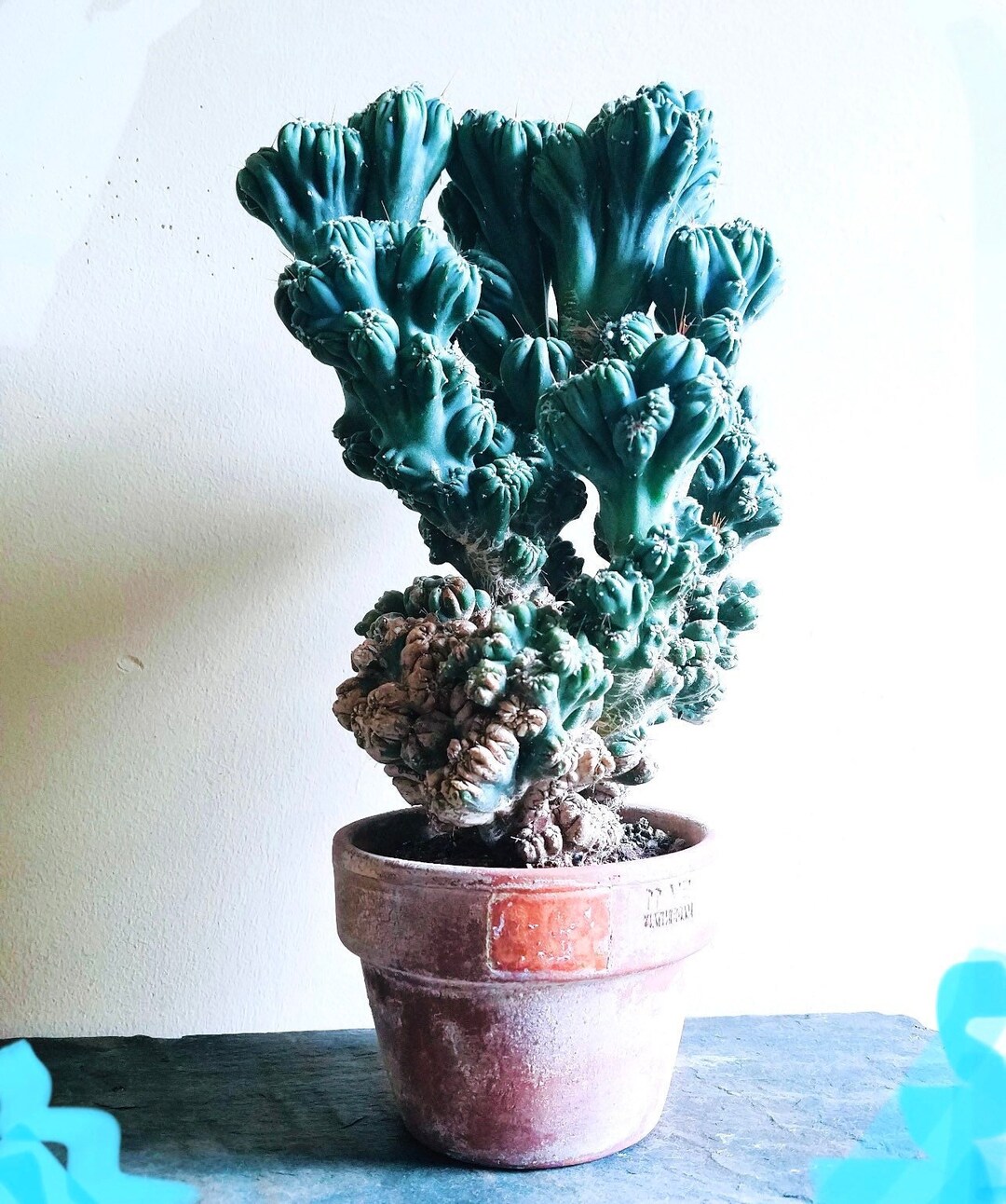 稀少 レア 1点物 イタリア製 HAND MADE サイン付花瓶　藍色鉢カバー 稀少 レア 1点物 イタリア製 HAND MADE サイン付花瓶 藍色鉢カバー