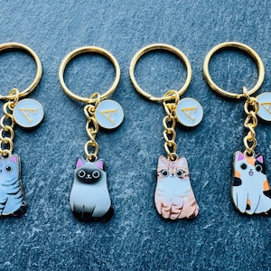 Cat Keyring  / Initialled Keychain / Cat Gift / Personalised Keyring