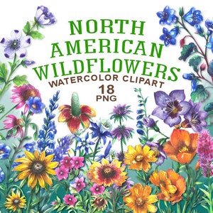Fleurs sauvages d'Amérique du Nord, Clipart aquarelle, Fleurs d'Amérique du Nord, Illustration botanique aquarelle, Fleurs sauvages amérindiennes