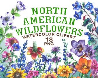 American Wildflowers Etsy
