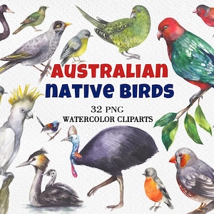 Könnte beinhalten: Aquarell-Clipart verschiedener australischer einheimischer Vögel. Das Bild zeigt eine Sammlung farbenfroher Vögel, darunter Papageien und Kakadus. Der Text lautet "Australian Native Birds" und "32 PNG Watercolor Cliparts."