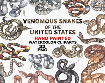 May include: Watercolour illustrations of 22 venomous snakes found in the United States. The snakes are depicted in various poses and colours, including brown, black, grey, red, and yellow. The text "Venomous Snakes of the United States" is written in a bold, black font with a snake skin pattern.