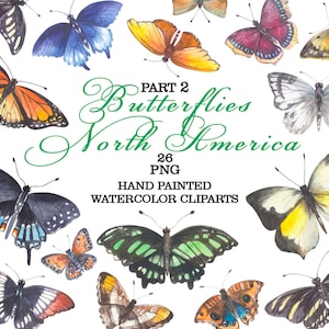 Butterflies of North America, Watercolor png clipart, Butterfly Poster, USA animals wildlife, Insect Field guide, Malachite Butterfly art