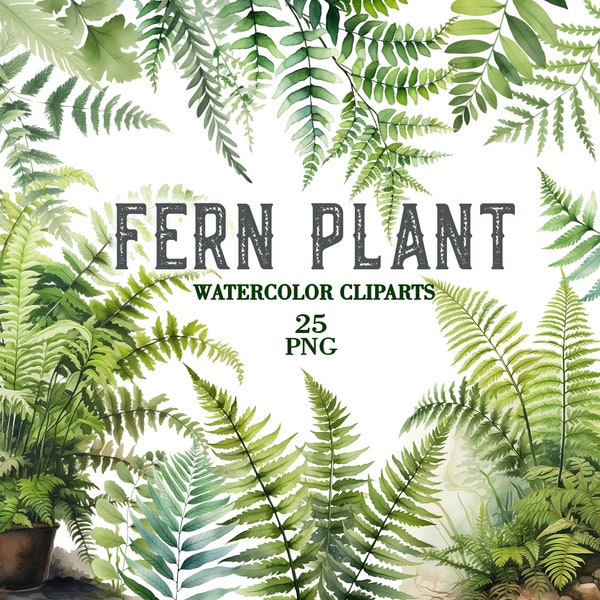 Fern plant watercolor clipart png, Plant clipart, Fern Plant Bundle, Ferns Digital, Vascular Plant Spore, Fern leaves, Asparagus fern, java