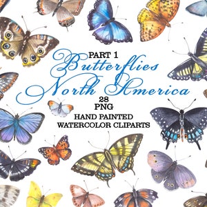 Butterflies of North America, Watercolor png clipart, Butterfly Poster, USA animals wildlife, Insect Field guide, Monarch butterfly art
