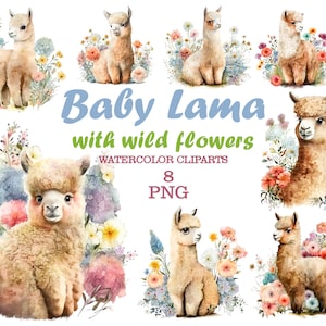 Baby Lama watercolor clipart, Alpaca Clipart, Baby llama png, Cute Alpaca Lama, Baby shower invitations, Nursery alpaca, Lama wild flowers