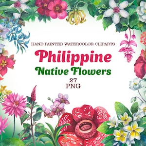 Può includere: Illustrazione ad acquerello di fiori nativi filippini, con fiori rossi, rosa, bianchi e gialli, circondati da foglie verdi. Il testo recita "Hand Painted Watercolor Cliparts" e "Philippine Native Flowers", con "27 PNG" sotto.