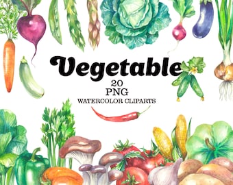 Watercolor vegetable clipart, Food png clipart, Kitchen clipart, Farm clipart, Thanksgiving clipart, Fall clipart, Cooking Vegan food