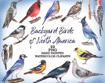 Watercolor Backyard Birds Clipart: North American Bird Illustrations (PNG Digital Download)