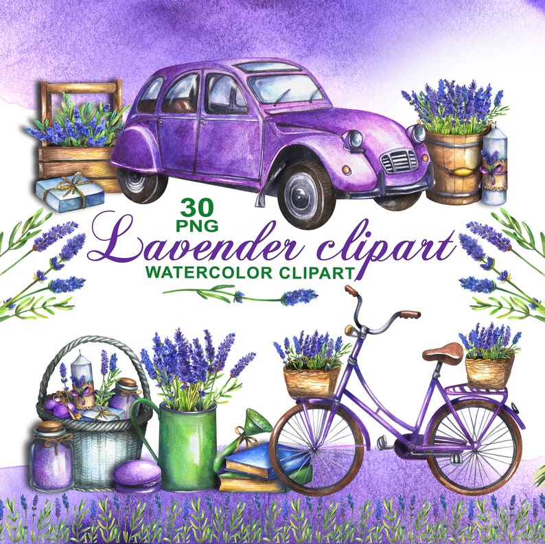 May include: Watercolour clipart set featuring lavender flowers, a purple car, a bicycle, a basket, a watering can, and a jar. The set includes 30 PNG files.