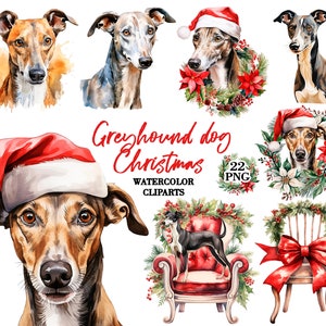 Greyhound chien Noël aquarelle clipart png, lévrier italien, couronne de Noël png, art Greyhound, chaise de Noël amateurs de Greyhound png