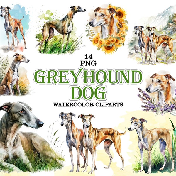 Greyhound dog png, Watercolor clipart, Greyhound illustration, Greyhound on the grass, Dog Clipart, Dog PNG, Dog Watercolor, Dog lover