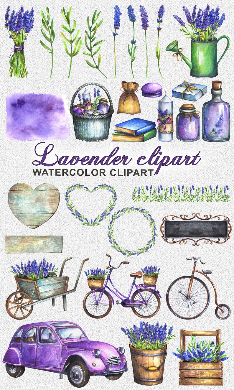 May include: Watercolour clipart featuring lavender flowers, sprigs, and various objects such as a watering can, a basket, a bicycle, a car, and a wooden heart. The text "Lavender clipart" and "WATERCOLOUR CLIPART" is also included.