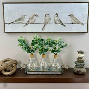 May include: Three clear glass lightbulb vases with gold tops, filled with green eucalyptus sprigs, are arranged on a metal tray with wooden handles. The tray is on a brown shelf with a wooden knot sculpture and a stack of gray stones with the text "This is our Happy Place" on a white background.