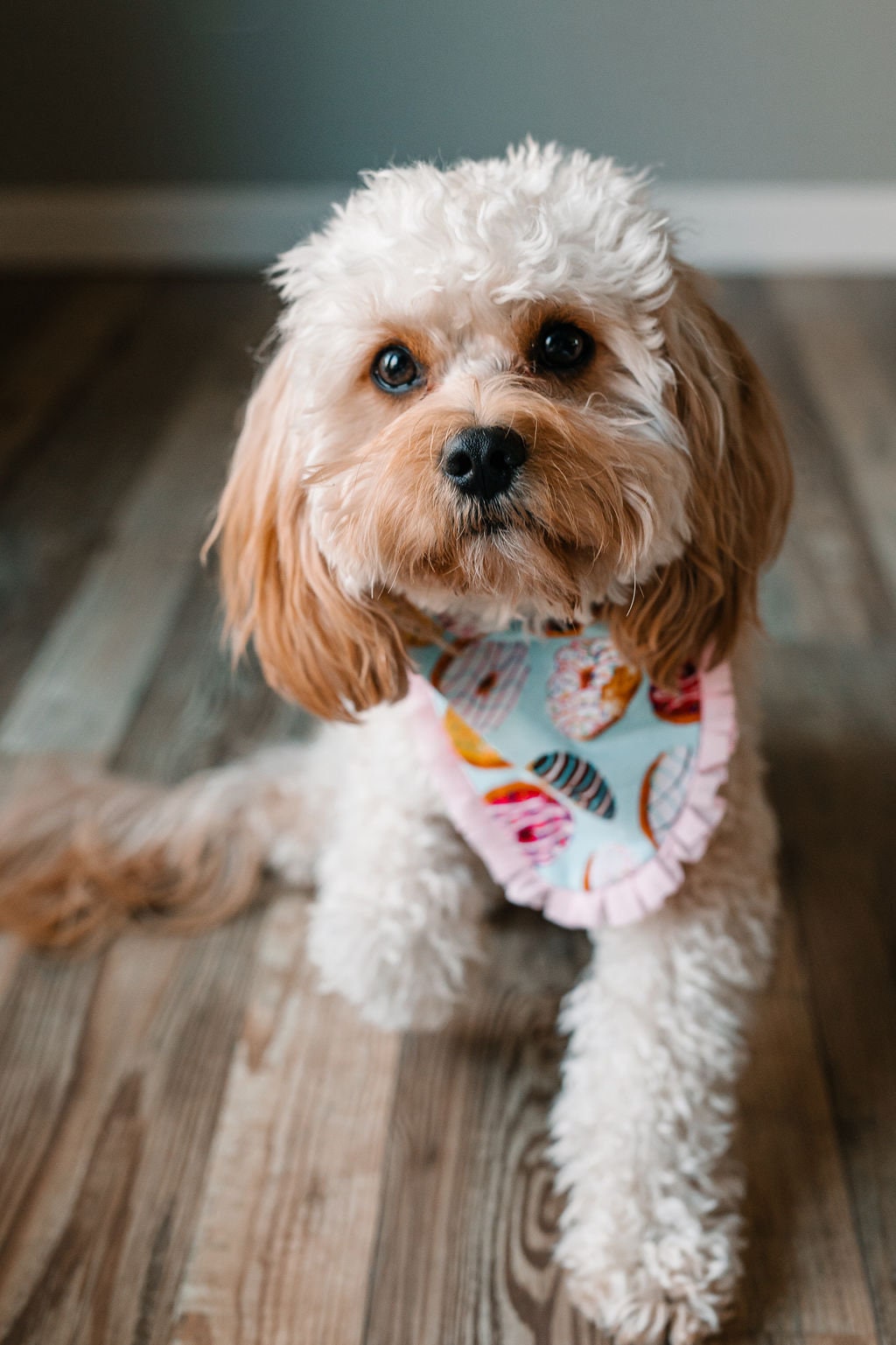 Donut dog bandana sale
