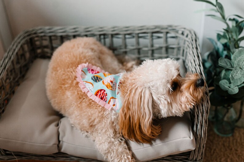 Donut Dog Bandana image 4