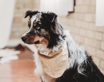 Ice Cream Dog Bandana