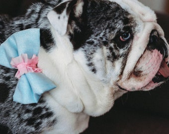 Frosted Sugar Dog Bowtie