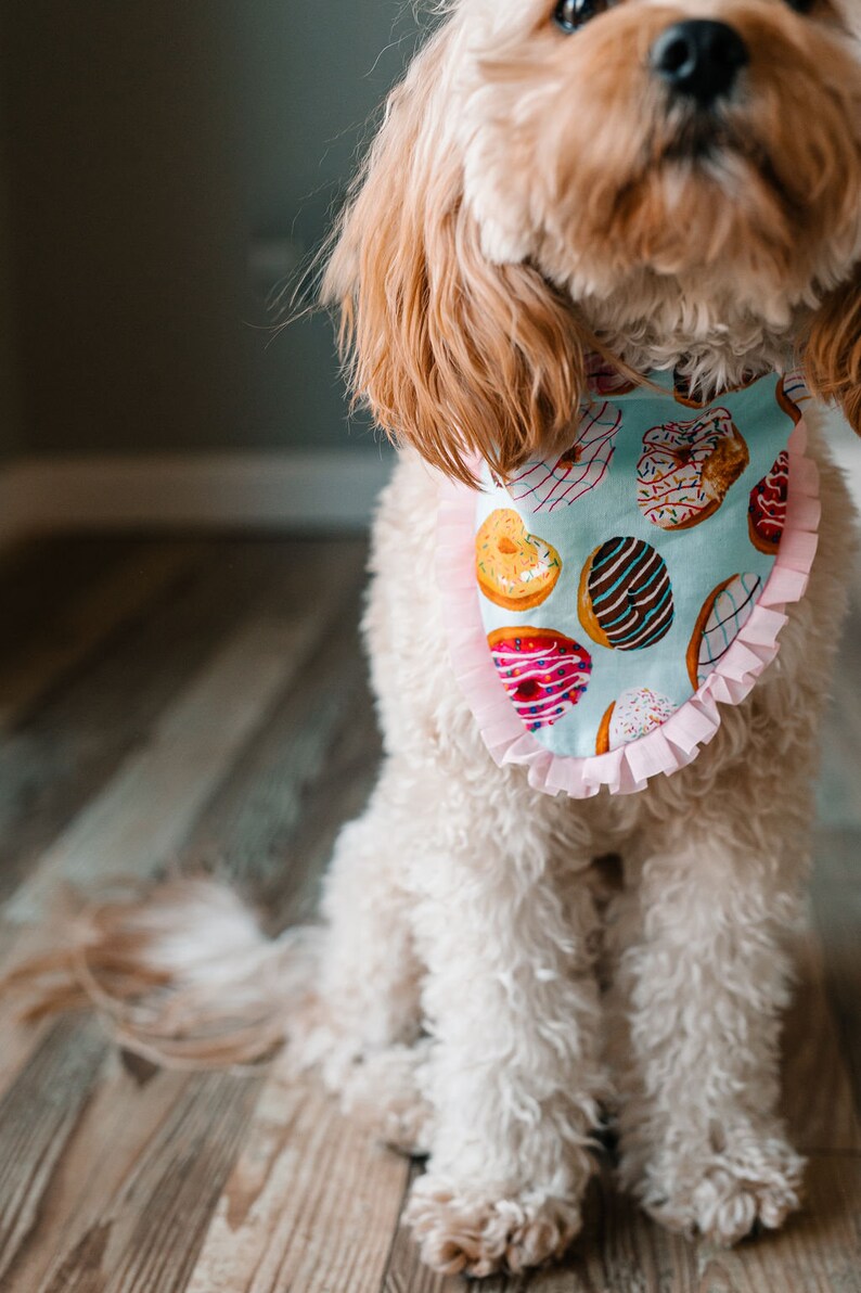 Donut Dog Bandana image 3