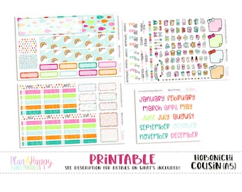 Hobonichi Cousin (A5) Monthly Kit, Rainbow Bright Monthly Kit, Hobonichi A5, Hobonichi Cousin, Printable Planner Stickers