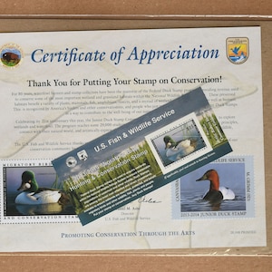 Migratory Bird Hunting and Conservation Stamp (15 Dollar Common Goldeneye) with Certificate of Appreciation