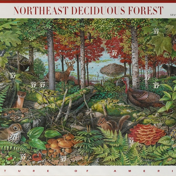 Northeast Deciduous Forest (Nature of America: Seventh in a Series) Unused Souvenir Sheet of 10 US 37c Self-Adhesive Postage Stamps (MNH)