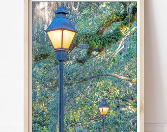 Savannah Photography - Forsyth Park Print, Live Oak Trees, Forsyth Park Savannah, Savannah Park, Savannah Squares, Forsyth Park Yellow Lamps