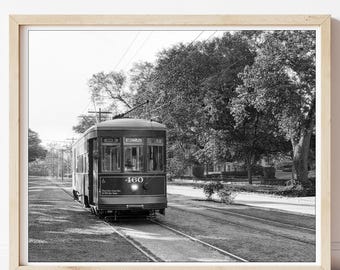 New Orleans Streetcar, St. Charles Line, Tulane University, Garden District Wall Art, New Orleans Photography, New Orleans Trolley