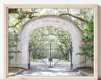 Wormsloe Plantation - Savannah Photography, Wormsloe, Spanish Moss, Georgia State Park, Tunnel of Trees, Low-Country Print, Live Oak Trees