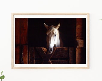 Horse Photo, Horse Print, Horse Portrait, Fine Art Print, Western Decor, Horse Photography, White Horse, Photo of Horses, Thoroughbred Horse