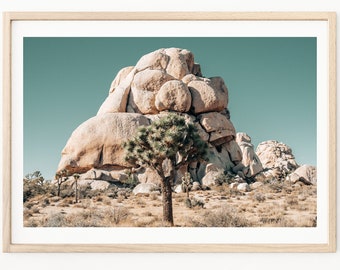 Joshua Tree Print - California Travel Photography - Desert Print - Joshua Tree - Boho Wall Art - Palm Springs - Joshua Tree Photos - Desert