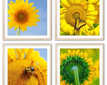 Girasoles - Juego de 4 girasoles, arte botánico, láminas botánicas, decoración de pared rosa, rosas rosas, dalia rosa, fotos cuadradas