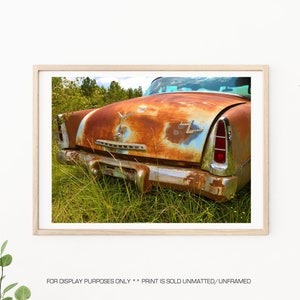 Könnte beinhalten: Ein rostiges, blaues und oranges Oldtimer-Auto, das auf einem Feld mit grünem Gras geparkt ist. Das Auto ist mit dem Heck zur Kamera geparkt und der hintere Stoßfänger ist sichtbar.