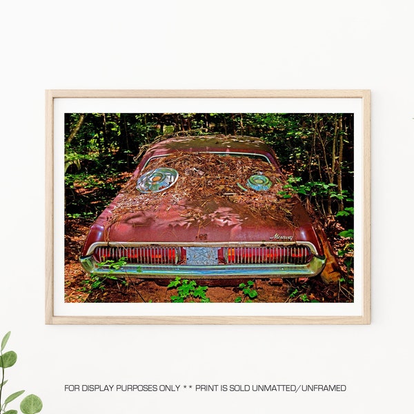 1968 Mercury Cougar - Classic Car Photography, Mercury Cougar, Man Cave Art, Classic Car Photos, Rusted Cars,Rusted Car Print, Abandoned Art
