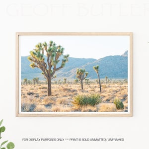 Joshua Tree - Photography - California Travel Photography - Desert Print - Sunset Photo - Boho Wall Art - Palm Springs - Joshua Tree Photos