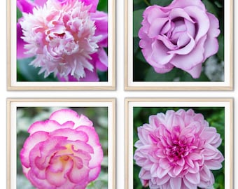 Flores Rosas - Juego de 4 láminas botánicas para pared, láminas botánicas, decoración de pared rosa, rosas rosas, dalia rosa, 4 láminas cuadradas