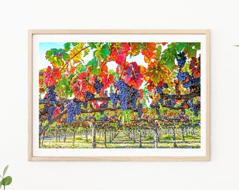 Napa Valley, Wine Country, Grapes on Vine, Napa Wineries, Wine, Sonoma Valley, Napa Valley Photography, Napa Valley Photo, &quot;Fall Harvest&quot;