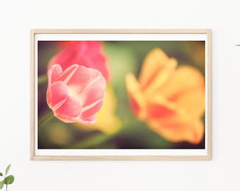 Tulip Photography-Pink Tulips, Pink Flower, Pink Tulip, Pink Wall Art, Floral Wall Art, Fine Art, Tulip Prints, Tulip Photos, Nursery Decor