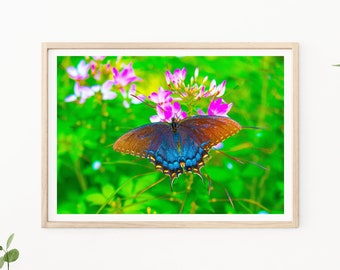 Butterfly Photography - Flower Photography, Floral Wall Art, Nature Photography, Nursery Decor, Butterfly on Flower, Butterfly Photos