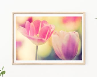 Tulip Photography, Pink Tulips, Pink Flower, Pink Tulip, Pink Wall Art, Floral Wall Art, Fine Art, Tulip Prints, Tulip Photos, Nursery Decor