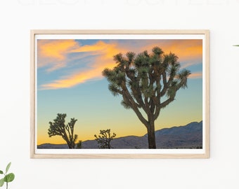 Joshua Tree - Fotografie - Kalifornien Reisefotografie - Wüste Print - Sonnenuntergang Foto - Boho Wand Kunst - Palm Springs - Joshua Tree Fotos