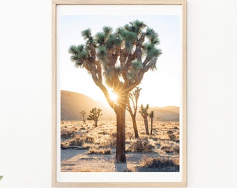 Joshua Tree - Desert Photography - Boho Print - California Travel Photography - Desert Print - Joshua Tree Photography - Palm Springs Photo