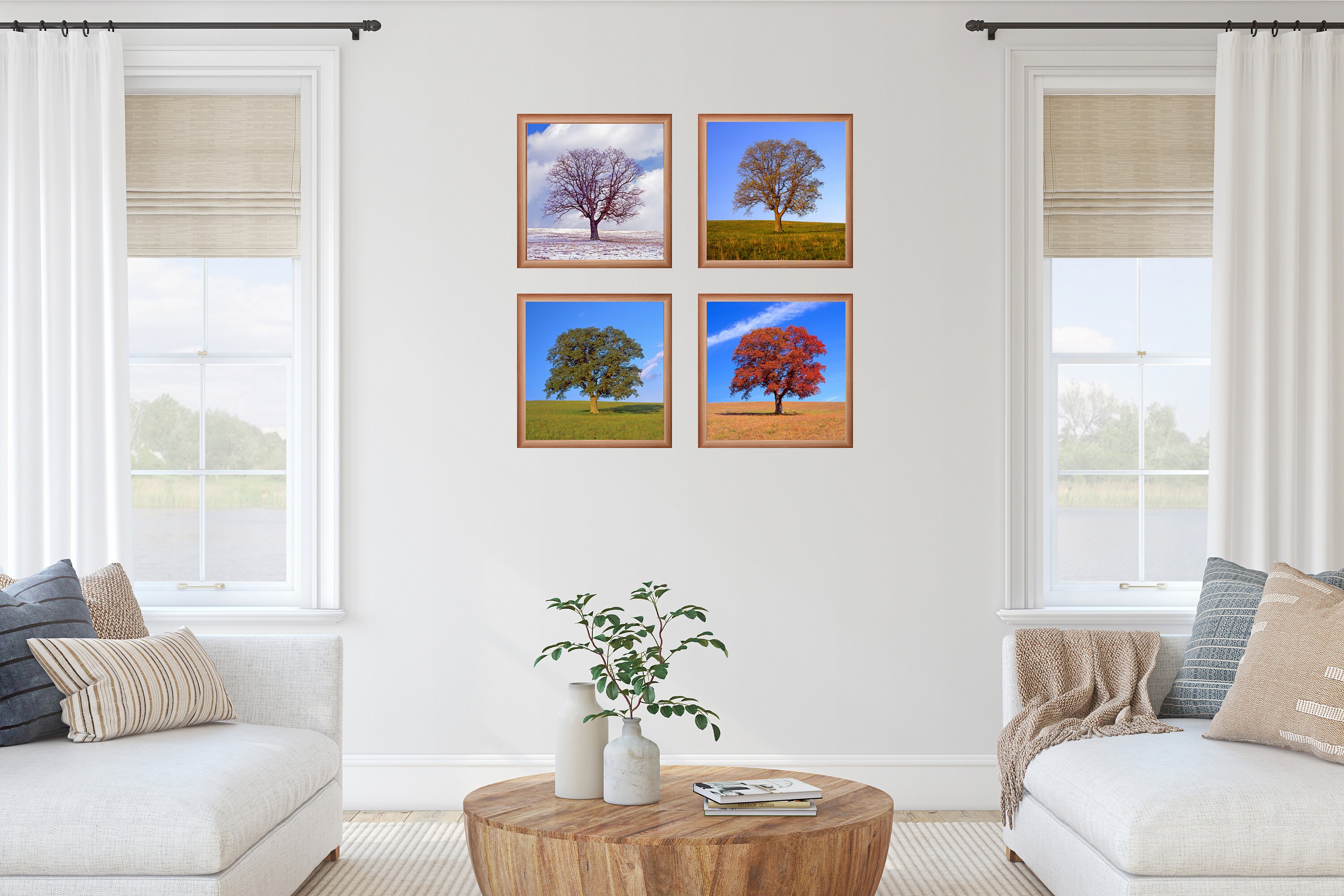 Tree in 4 Seasons, Four Seasons, Nature Photo, Winter, Spring, Summer ...