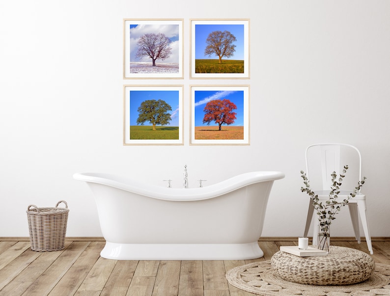 Tree in 4 Seasons, Four Seasons, Nature Photo, Winter, Spring, Summer ...