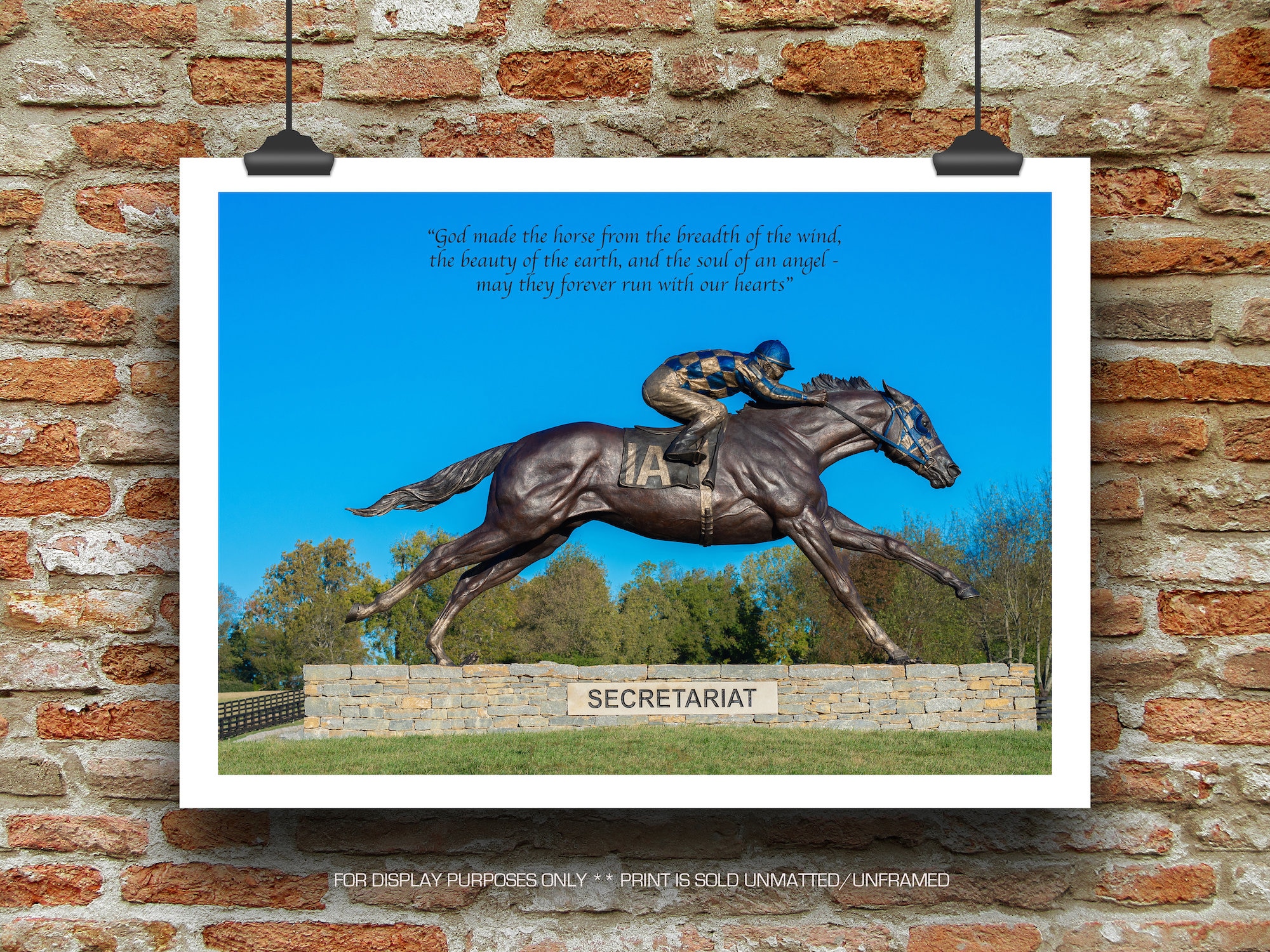 Secretariat - Racehorse Photography, Horse Photos, Inspirational ...