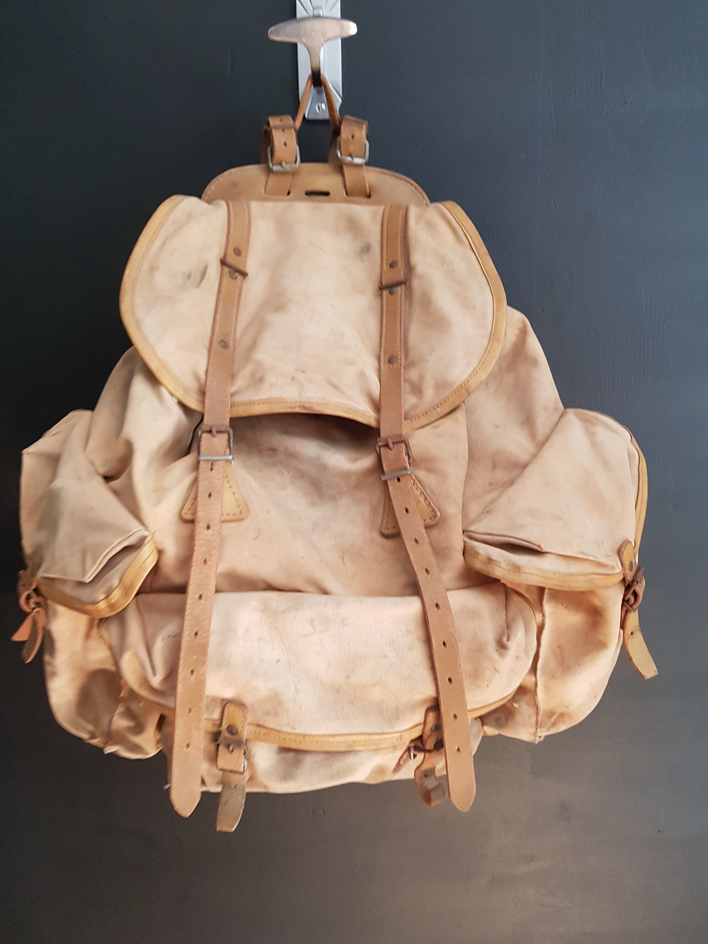Lafuma kid cheap carrier backpack