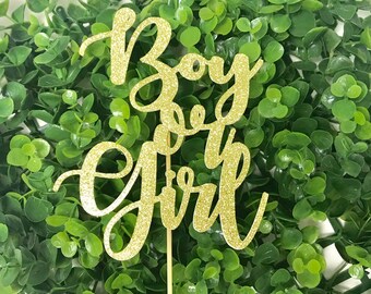 Boy or Girl Cake Topper, Baby Gender Reveal Cake Topper, Gender Reveal Cake Topper