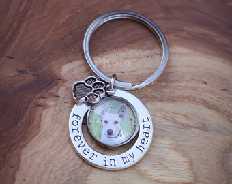 Forever in My Heart Pet Memorial Key Chain, Dog Loss Sympathy Gift, Pet Photo Necklace, Photo Keepsakes, Gift for Pet Lovers, Loss of Cat